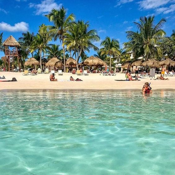 AKUMAL ADRENALINE: Akumal Tortugas + Cuatrimotos + Cenote