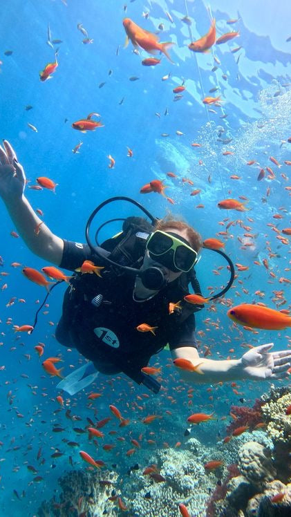 BUCEO CERTIFICADO O AMATEUR EN COZUMEL