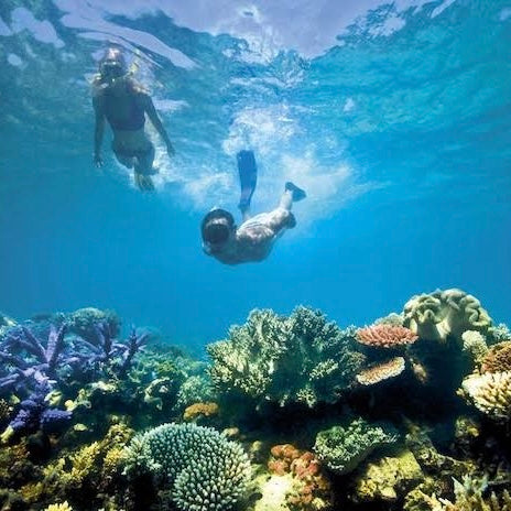 CIELO COZUMEL LANCHA