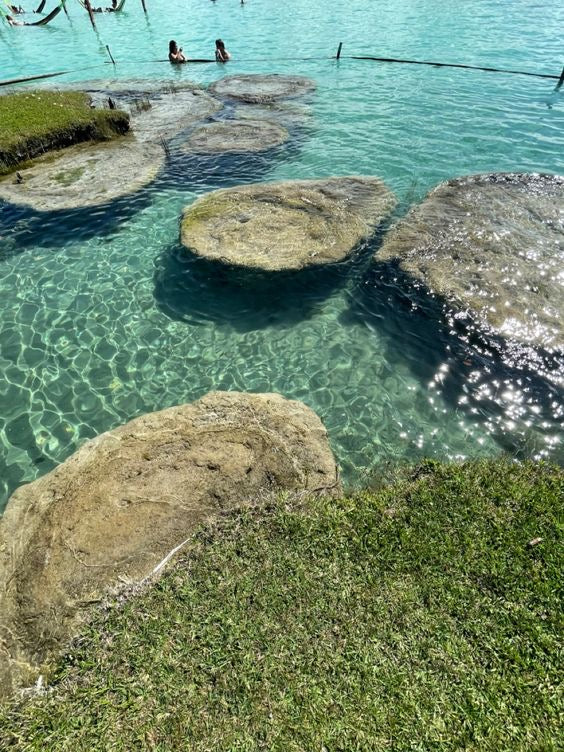 BACALAR PLUS