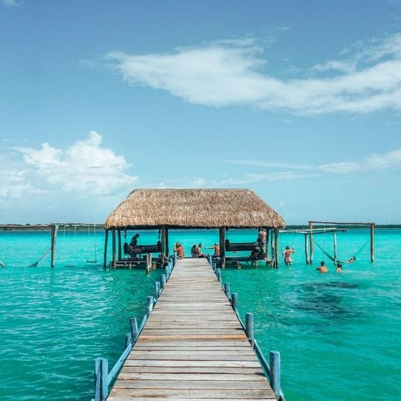 BACALAR PLUS