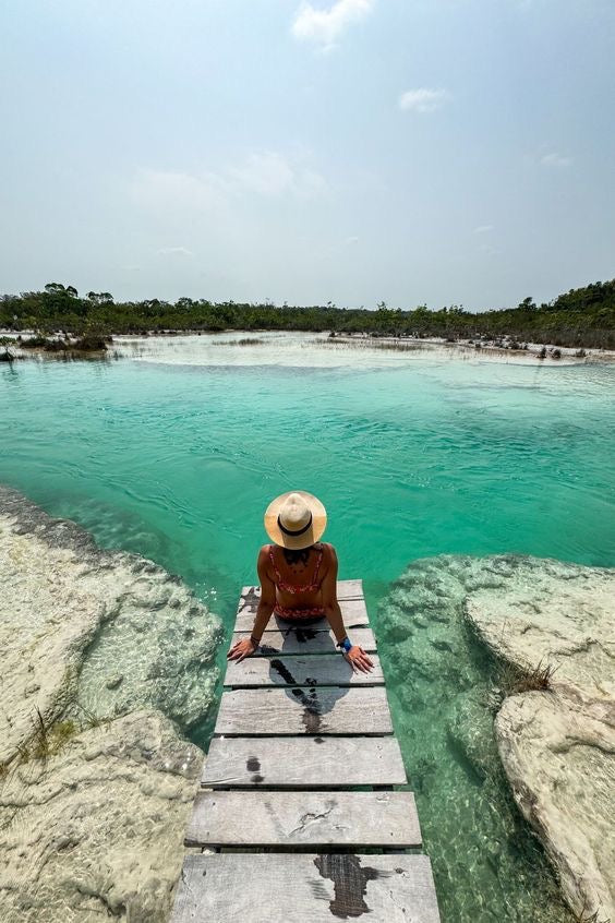 BACALAR PLUS