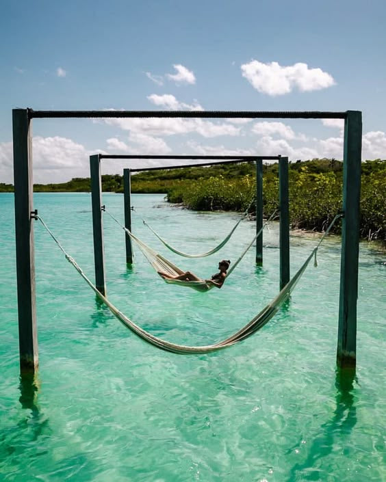 BACALAR PLUS