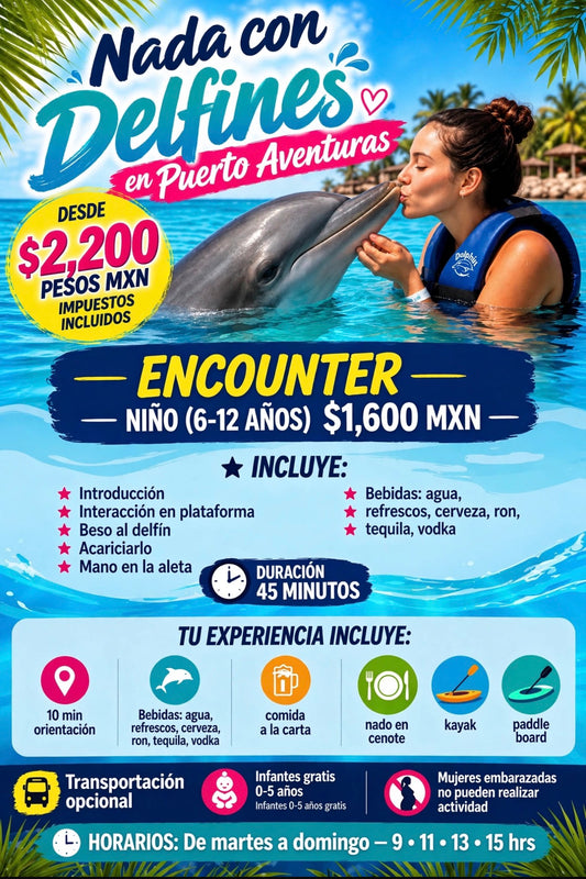 Nado con Delfines | Dolphin Encounter 40 mins | Puerto Aventuras