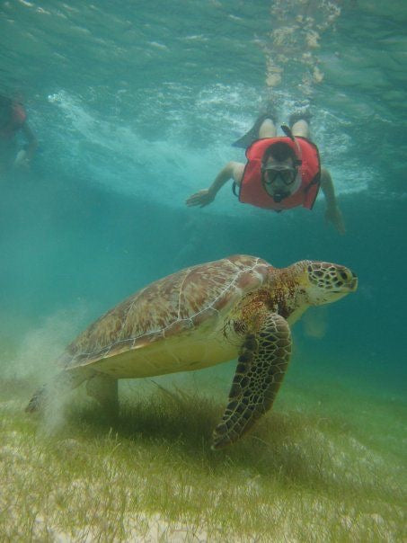 AKUMAL EXPRESS: Akumal Tortugas + Cenote