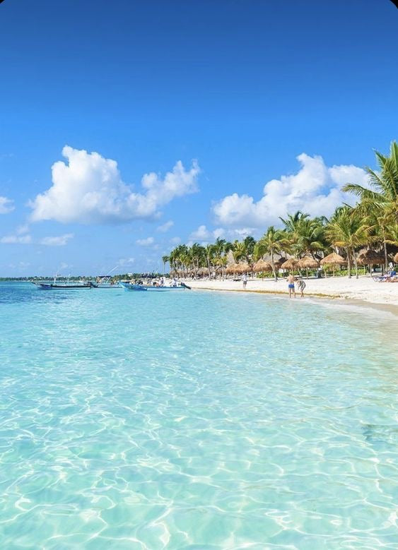 AKUMAL EXPRESS: Akumal Tortugas + Cenote