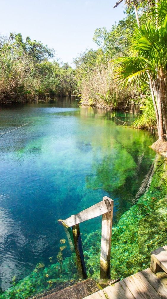 TULUM RUINAS + MADRE NATURALEZA + CENOTE CASA TORTUGAS