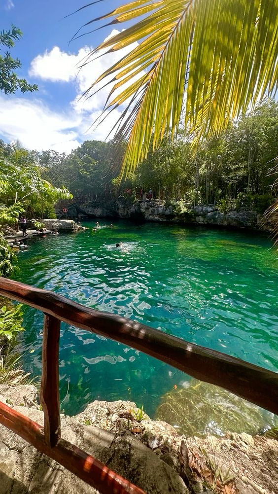CENOTE CASA TORTUGA