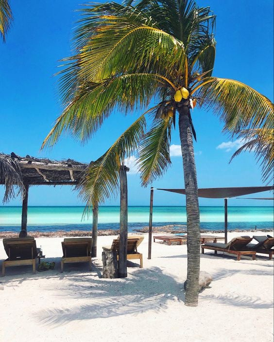 HOLBOX PLUS