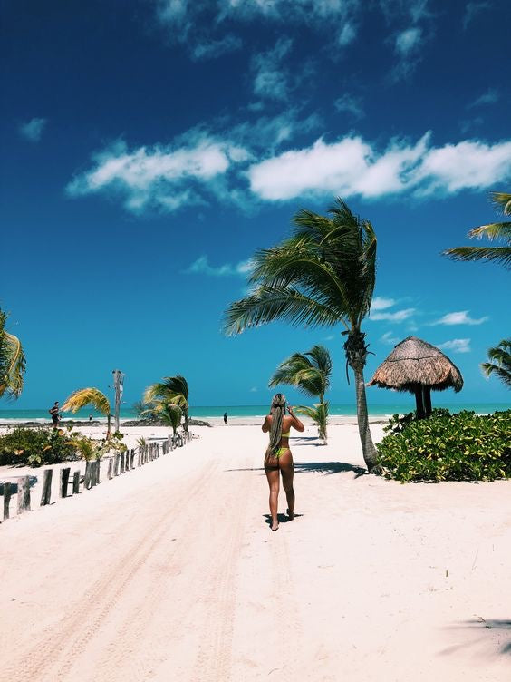 HOLBOX PLUS