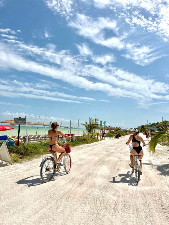 HOLBOX PLUS