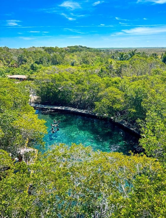 HOLBOX PLUS