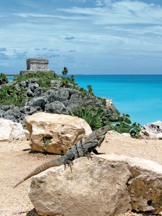TULUM RUINAS AKUMAL TORTUGAS CENOTE