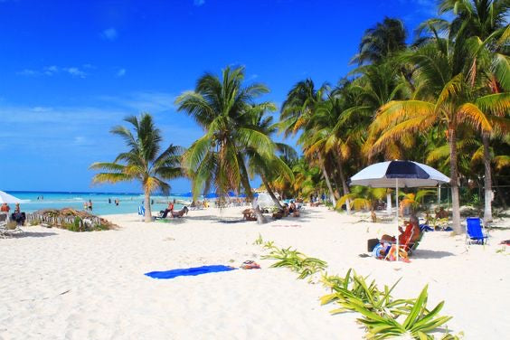 AKUMAL ADRENALINE: Akumal Tortugas + Cuatrimotos + Cenote