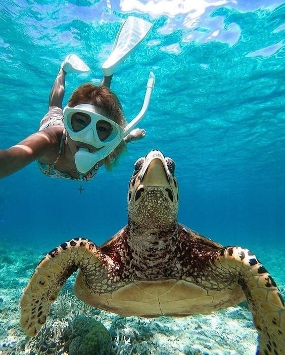 AKUMAL ADRENALINE: Akumal Tortugas + Cuatrimotos + Cenote