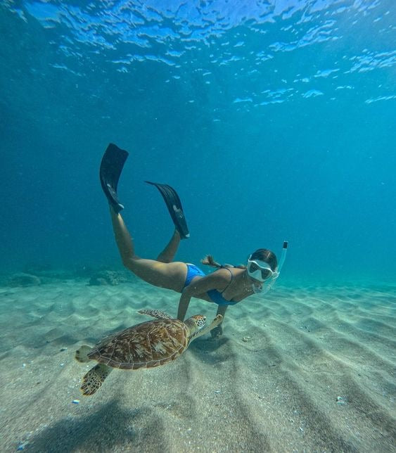 AKUMAL ADRENALINE: Akumal Tortugas + Cuatrimotos + Cenote