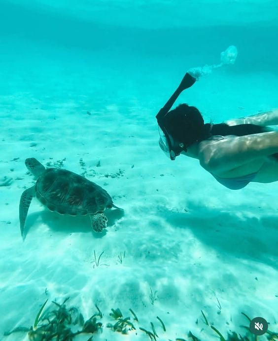 AKUMAL ADRENALINE: Akumal Tortugas + Cuatrimotos + Cenote