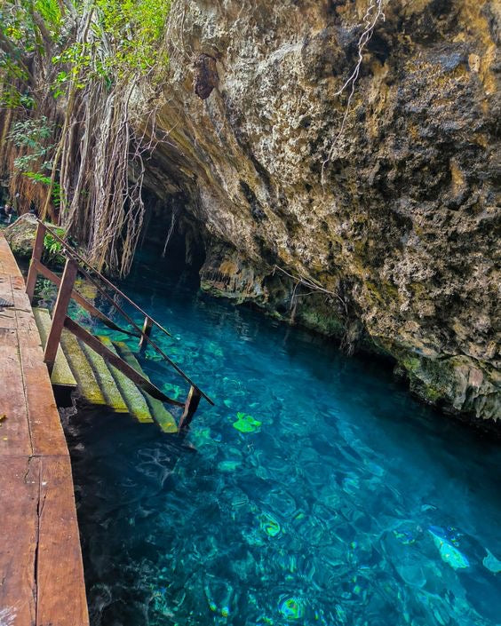 TULUM RUINAS AKUMAL TORTUGAS CENOTE