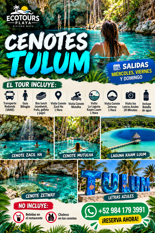 Cenotes Tulum | Tour de 3 Cenotes + Laguna Kaan Luum | 1650 MXN
