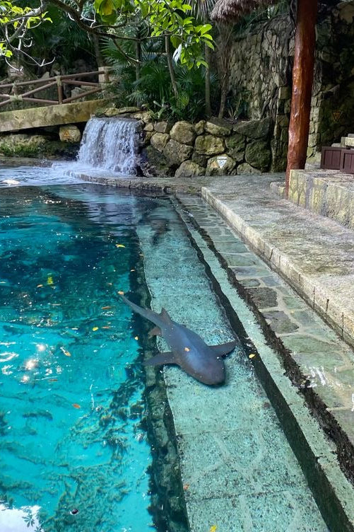 Xcaret Plus: Entrada + Comida Buffet
