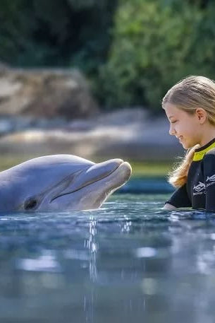 Nado con Delfines | Dolphin Encounter 40 mins | Puerto Aventuras