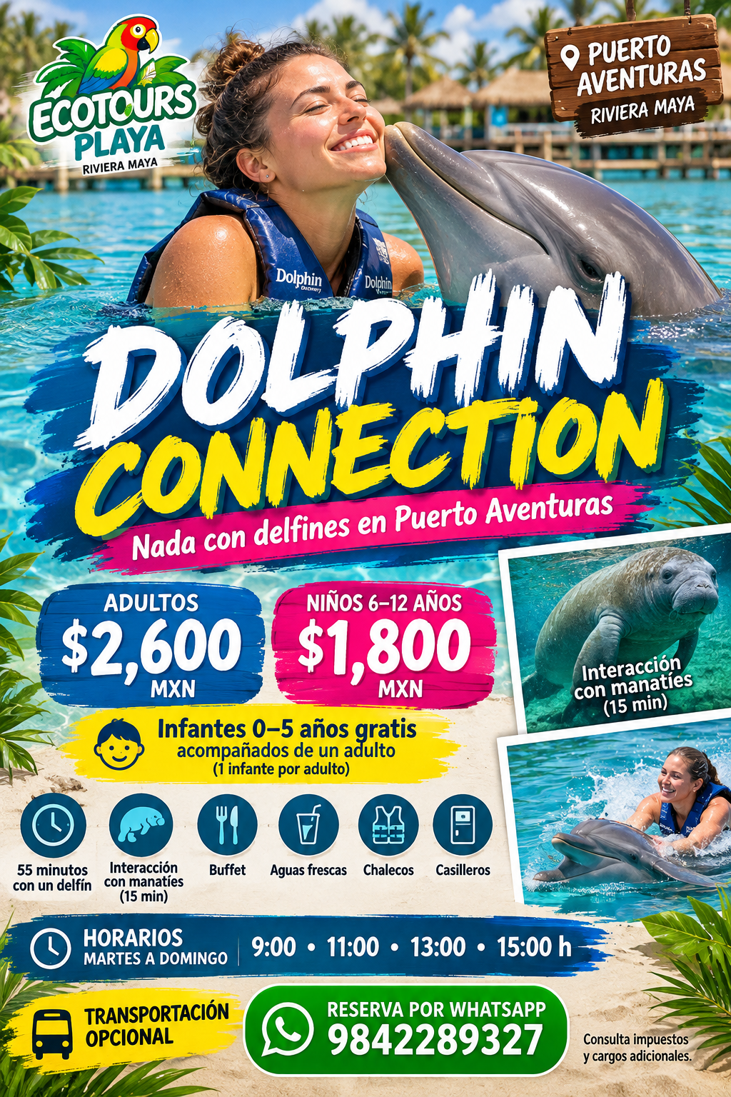 Nado con Delfines | Dolphin Connection 50 minutos | Puerto Aventuras