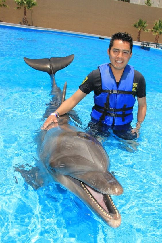 Nado con Delfines | Dolphin Connection 50 minutos | Puerto Aventuras