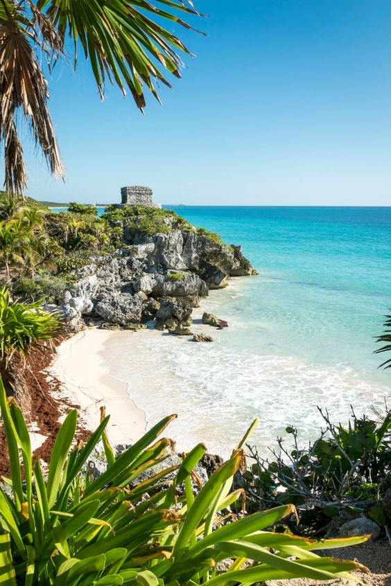 Tulum Ruinas + Akumal nado con tortugas & Cenote | Guía frances 🇫🇷 🐢