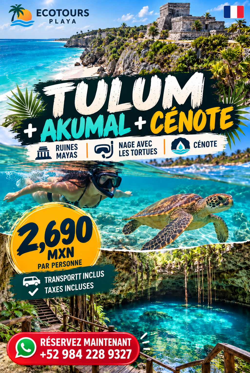 Tulum Ruinas + Akumal nado con tortugas & Cenote | Guía frances 🇫🇷 🐢