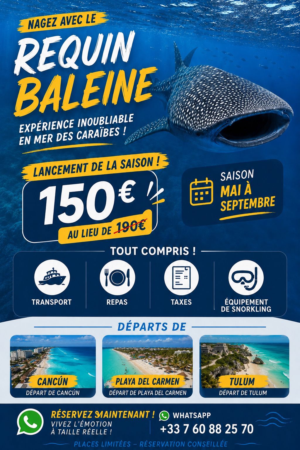 Nage avec les requins baleines et visite de la plage d'Isla Mujeres