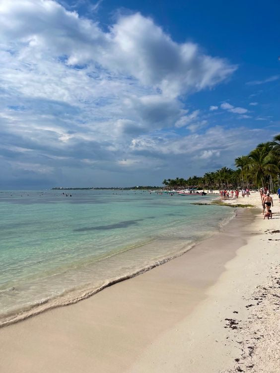 AKUMAL ADRENALINE: Akumal Tortugas + Cuatrimotos + Cenote