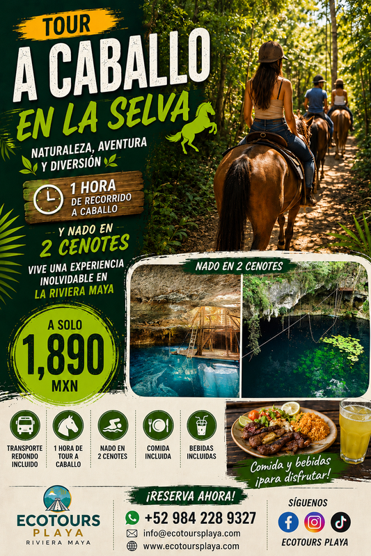 CABALLO EN LA SELVA Y CENOTE
