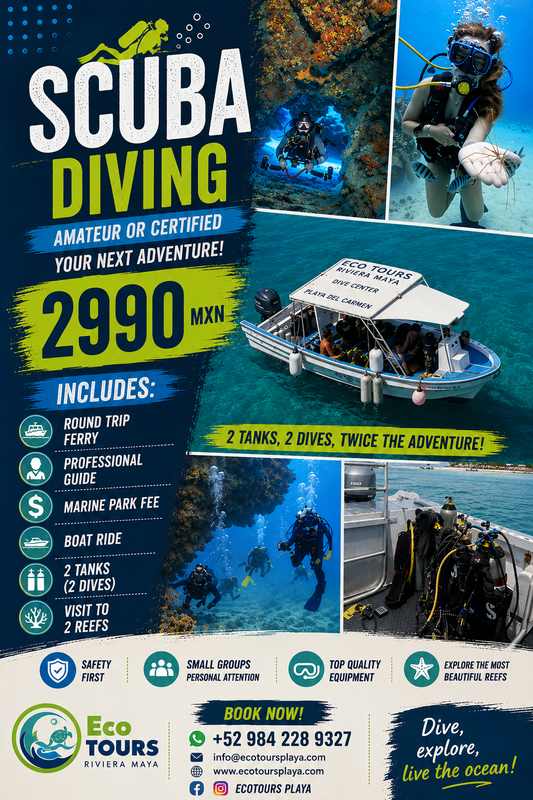 BUCEO CERTIFICADO O PRINCIPIANTE CON DOS TANQUES EN COZUMEL