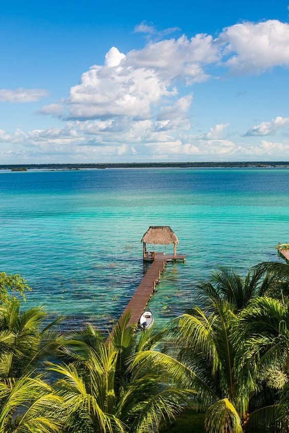 BACALAR PLUS