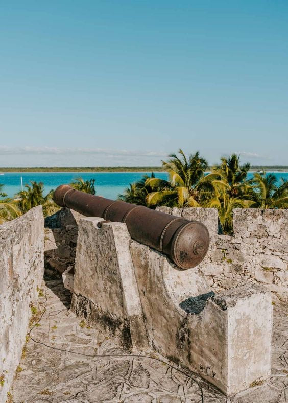 BACALAR PLUS