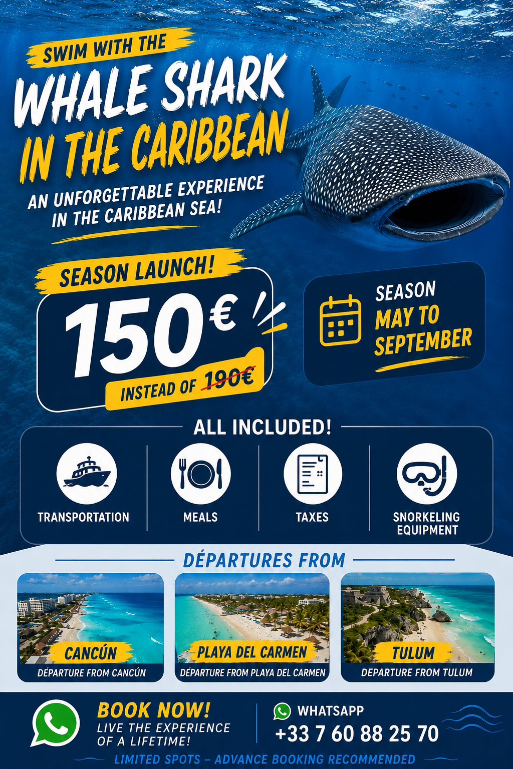 Nage avec les requins baleines et visite de la plage d'Isla Mujeres