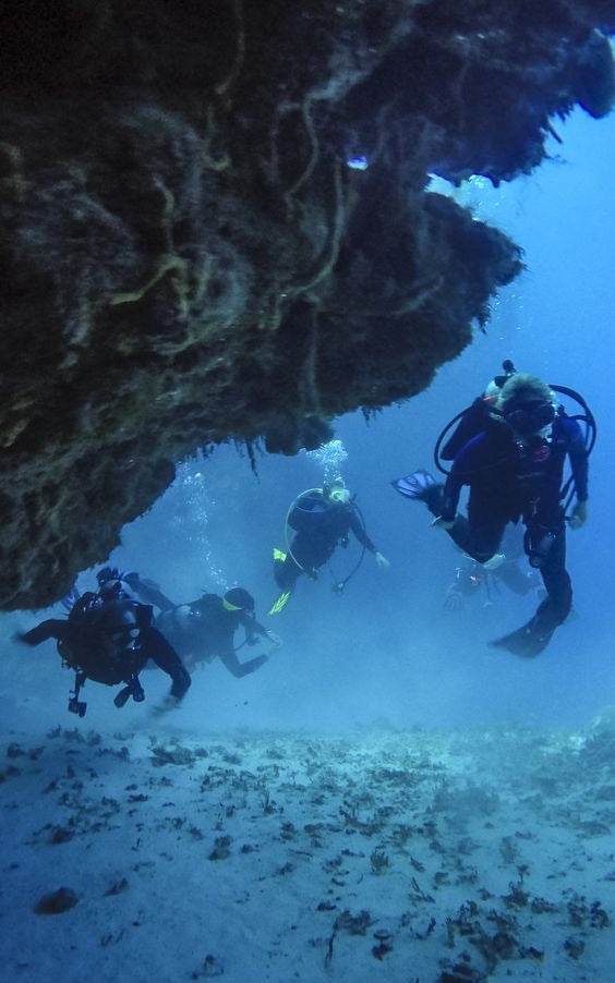 BUCEO CERTIFICADO O PRINCIPIANTE CON DOS TANQUES EN COZUMEL