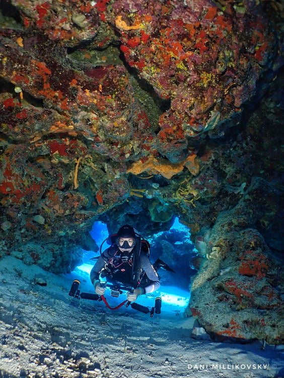 BUCEO CERTIFICADO O PRINCIPIANTE CON DOS TANQUES EN COZUMEL
