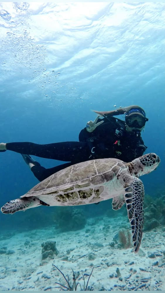 BUCEO CERTIFICADO O PRINCIPIANTE CON DOS TANQUES EN COZUMEL