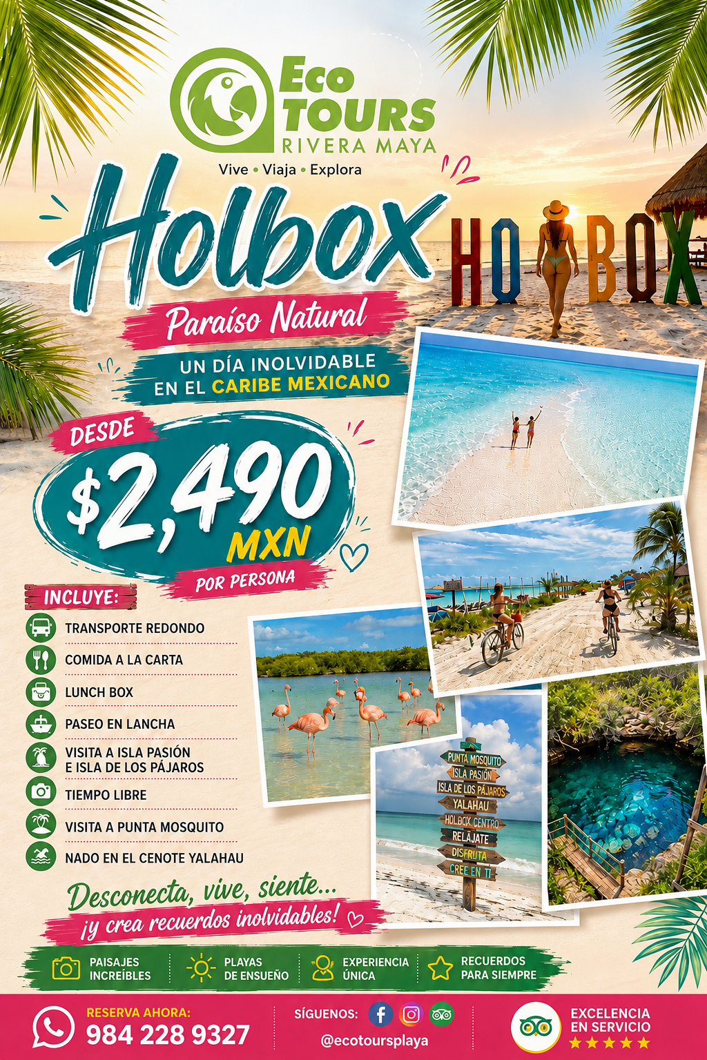 HOLBOX PLUS